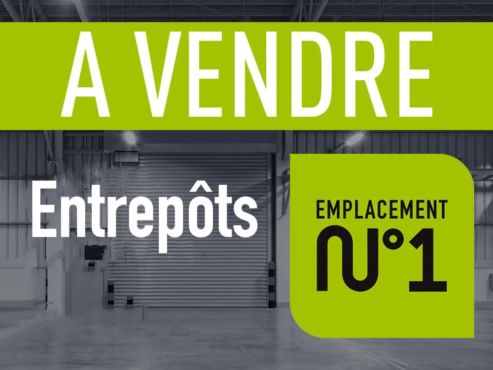 Locaux d'activité