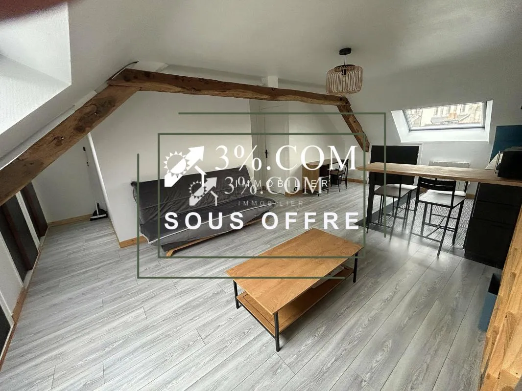 STUDIO LUMINEUX 25m2
