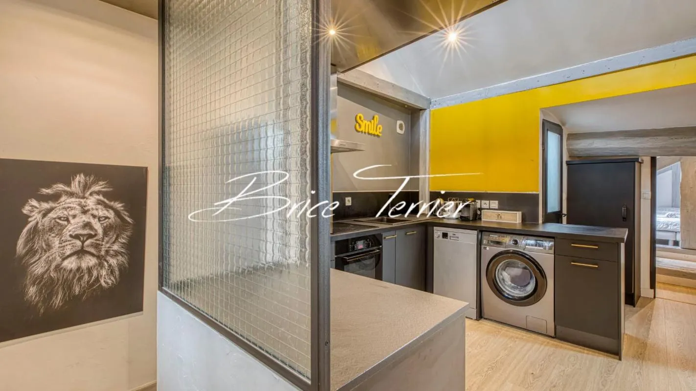 Appartement T3 de 45m2 Carrez (75m2 au sol) en plein centre ville d'Annecy