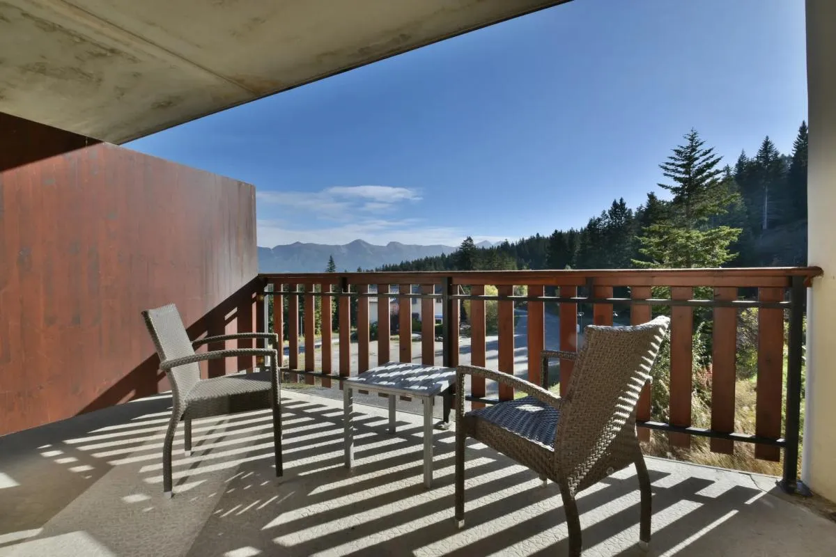 Studio de 24 m2 en vente à Selonnet au cœur de la Vallée de la Blanche