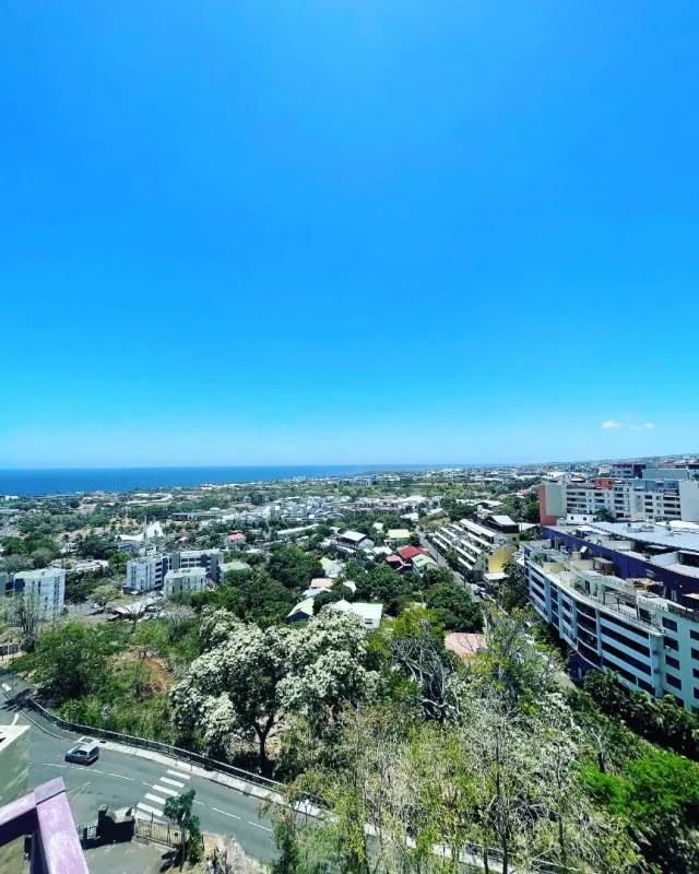 T5 DUPLEX  ATYPIQUE VUE PANORAMIQUE SAINT DENIS