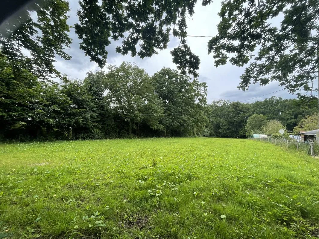 Terrain à bâtir