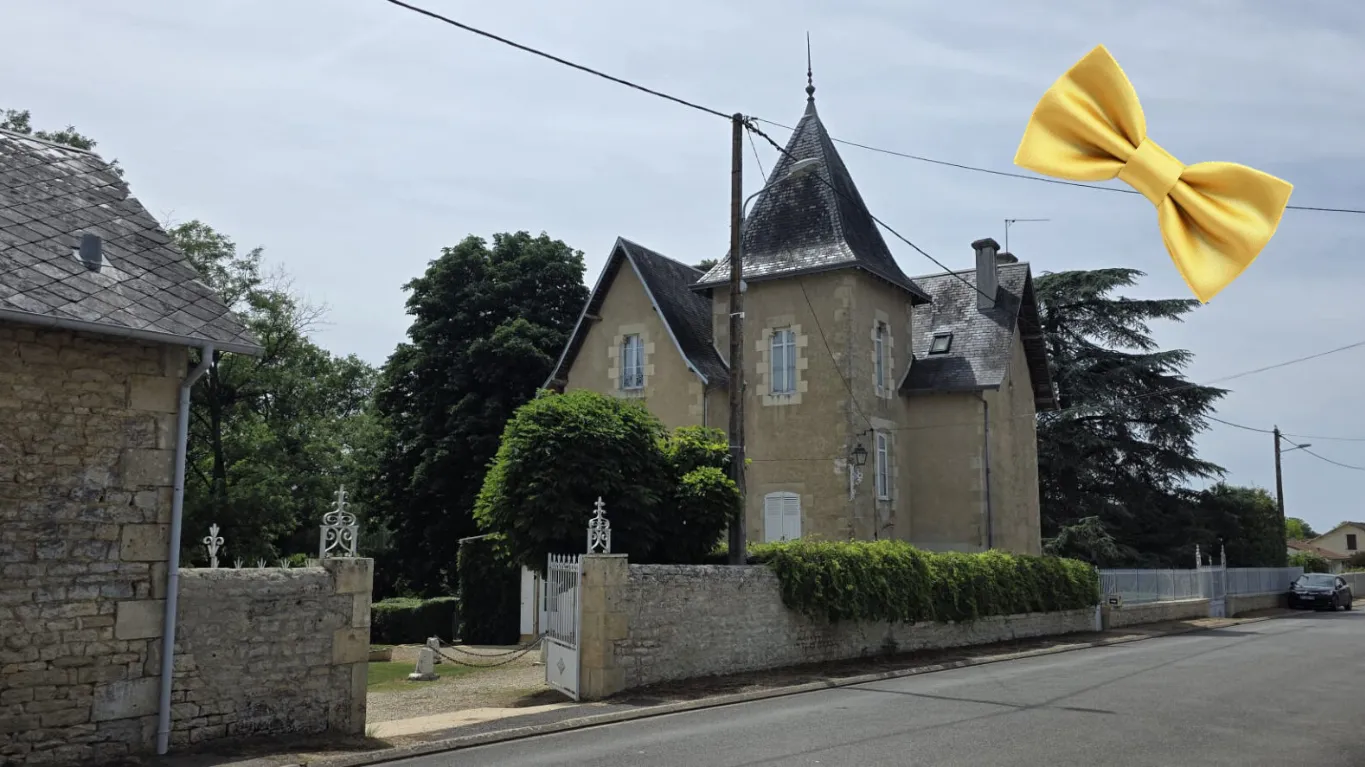 Image du carrousel 1