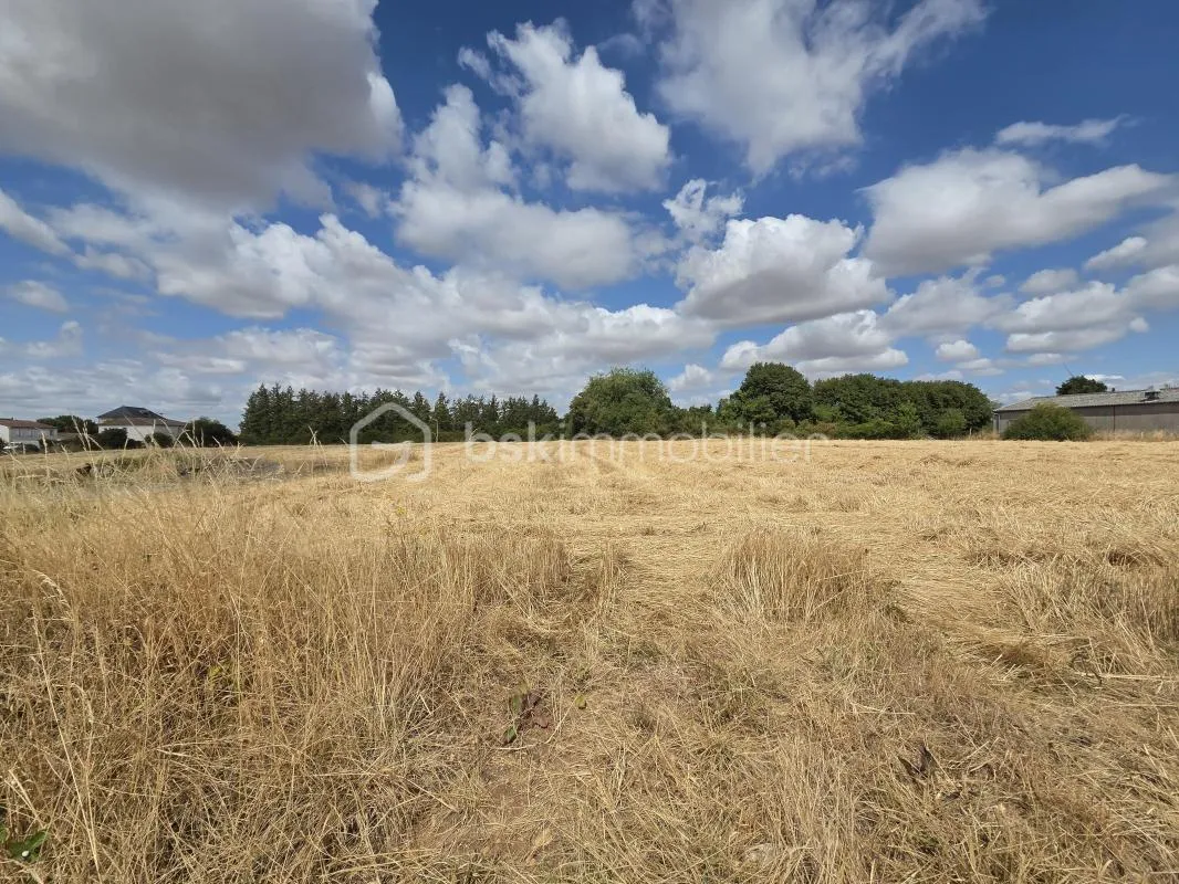 TERRAIN CONSTRUCTIBLE