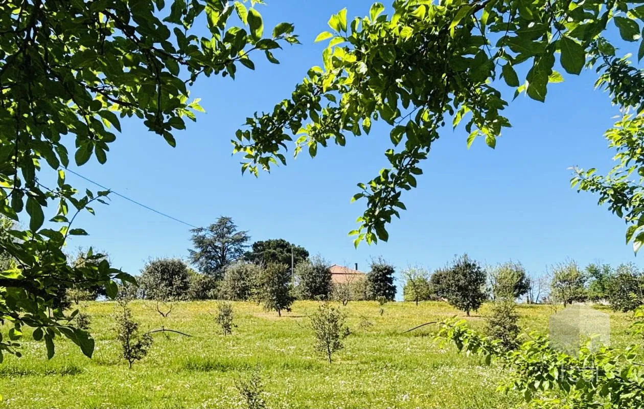 Image du carrousel 1