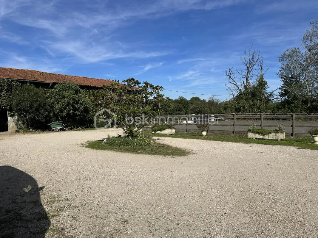 Image du carrousel 1