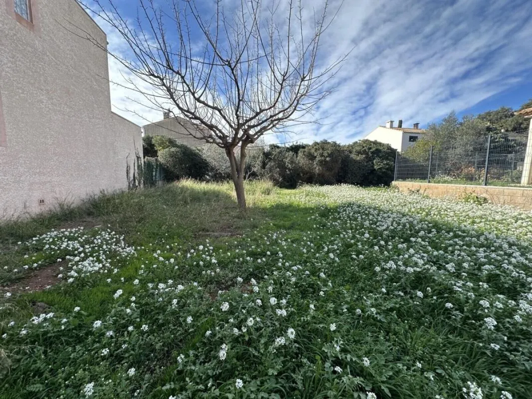 Terrain - Frontignan - 363m²