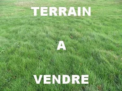 Près de 550m² aux portes d'Ancenis pour bâtir votre nid !