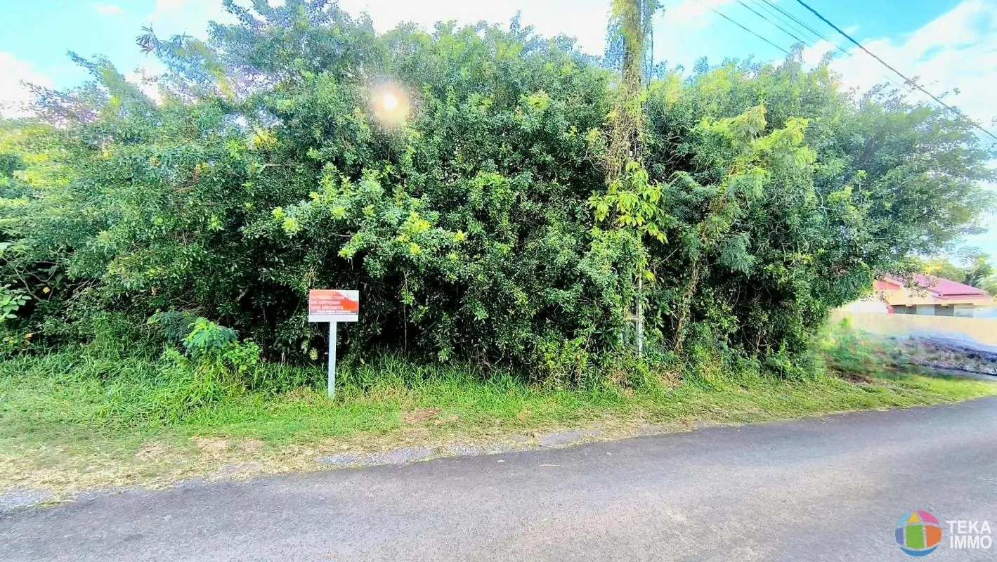 Terrain a vendre Saint Anne