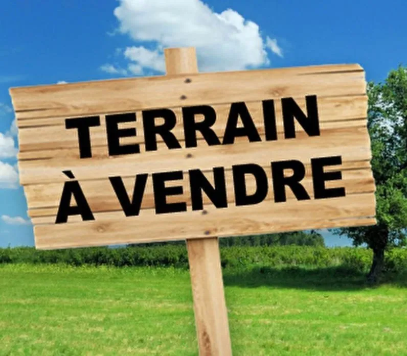 Image du carrousel 1
