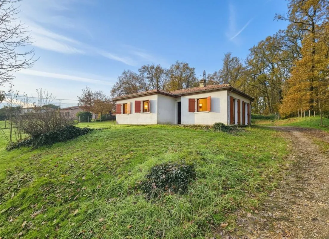 Maison