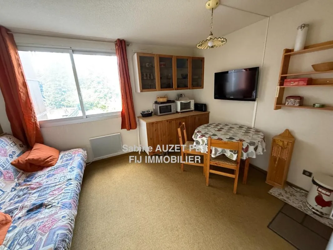 Appartement 1 pièce / 20 m² / 33 000 EUR / SELONNET