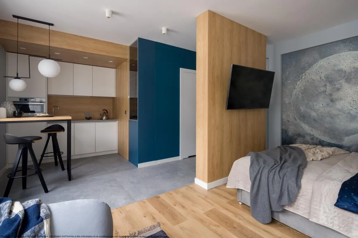APPARTEMENT 1 PIECE AVEC PARKING