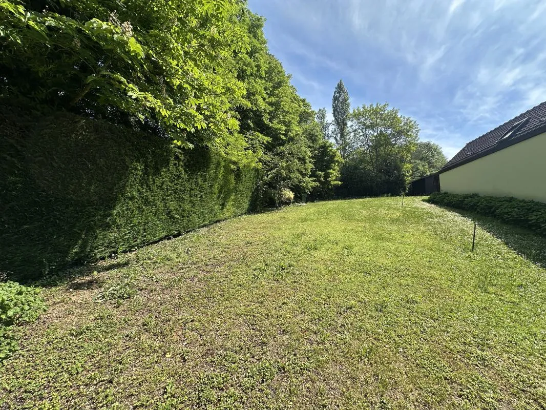 Terrain