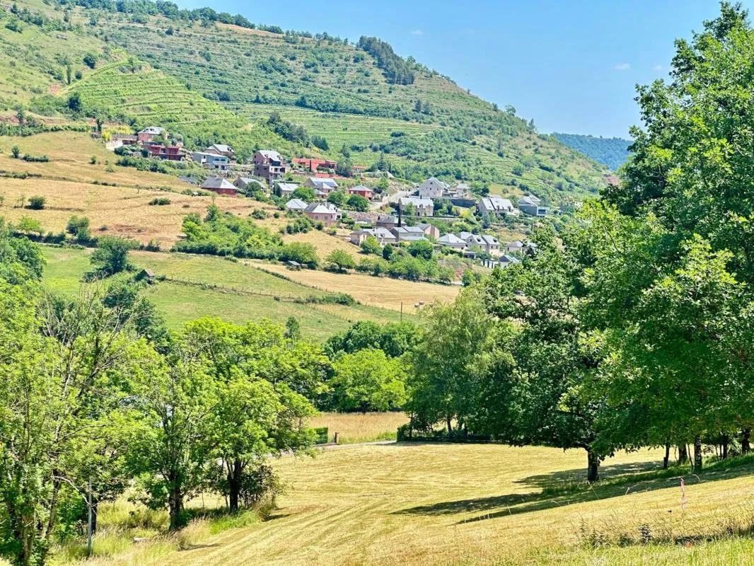 Terrain
