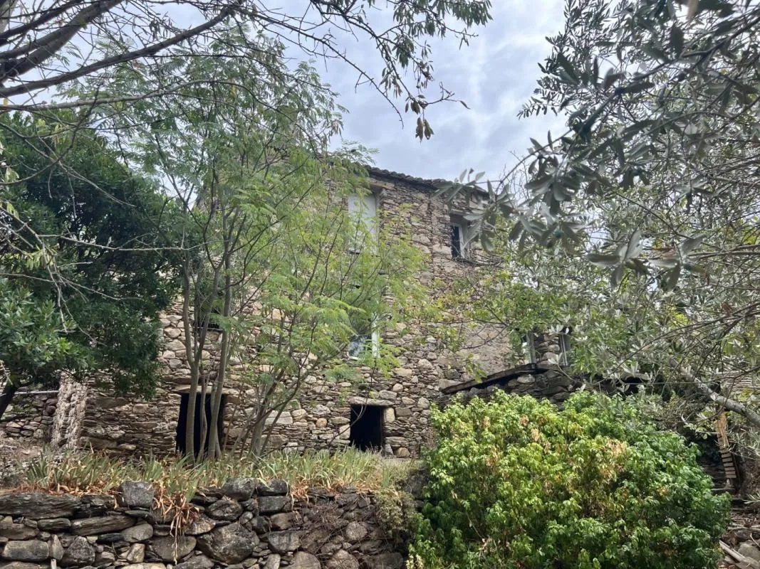 Maison