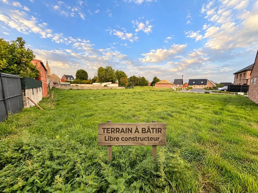 Terrain