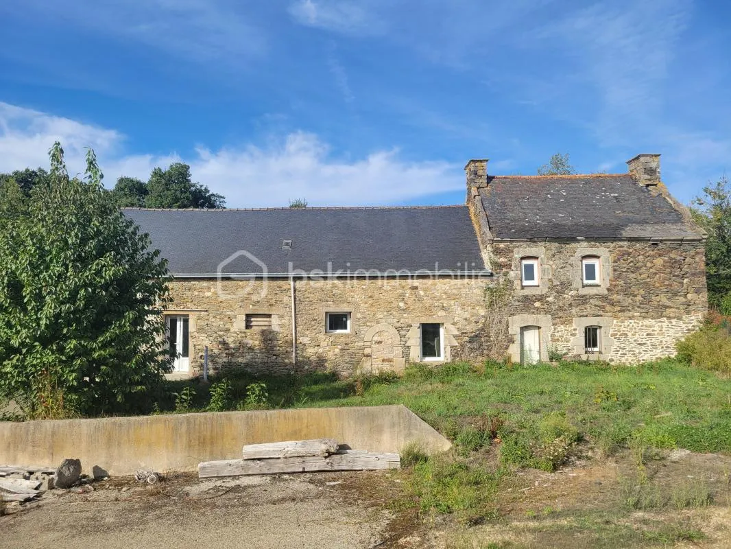 PLEUGRIFFET - 2 MAISONS + 2 HANGARS + 9 839 m² - PROJET RÉNOVATION