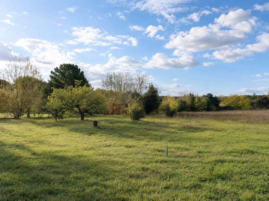Terrain