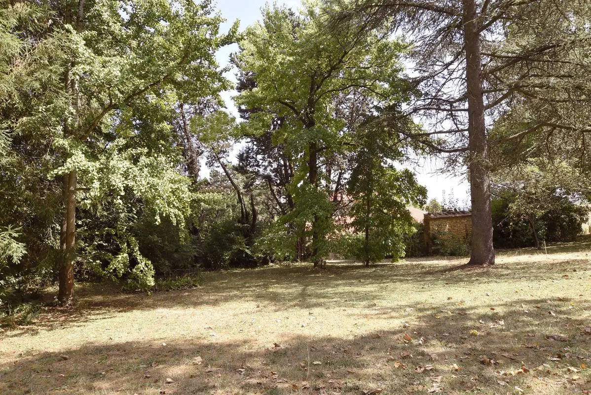 Terrain