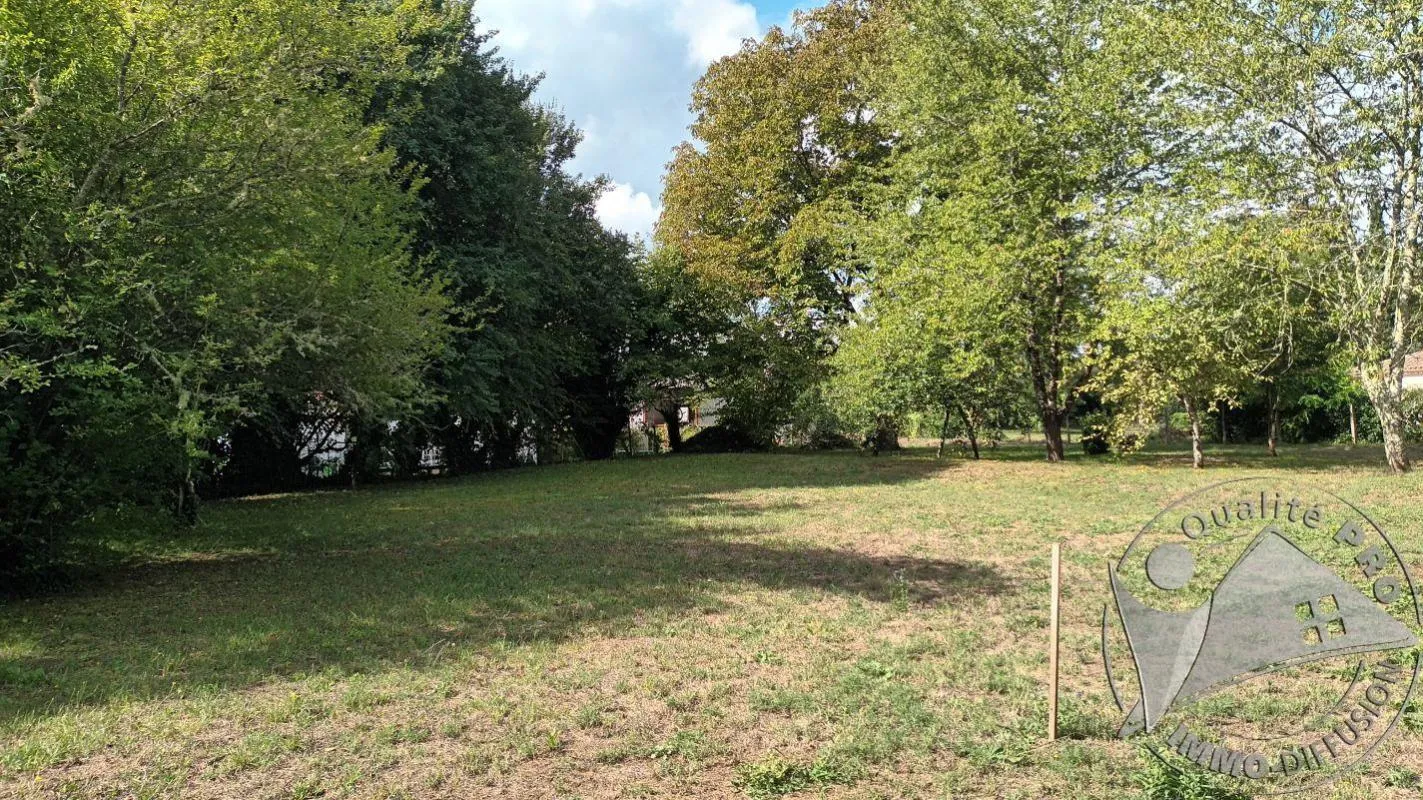 Terrain