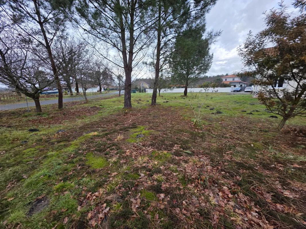 Terrain