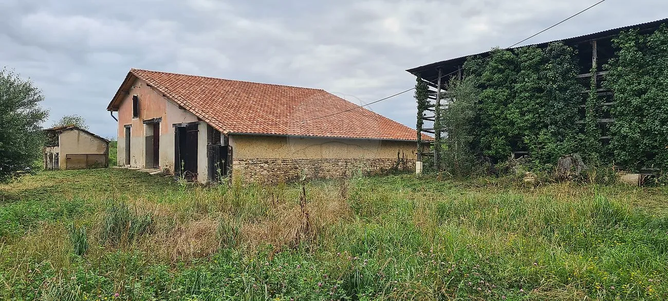 Image du carrousel 1