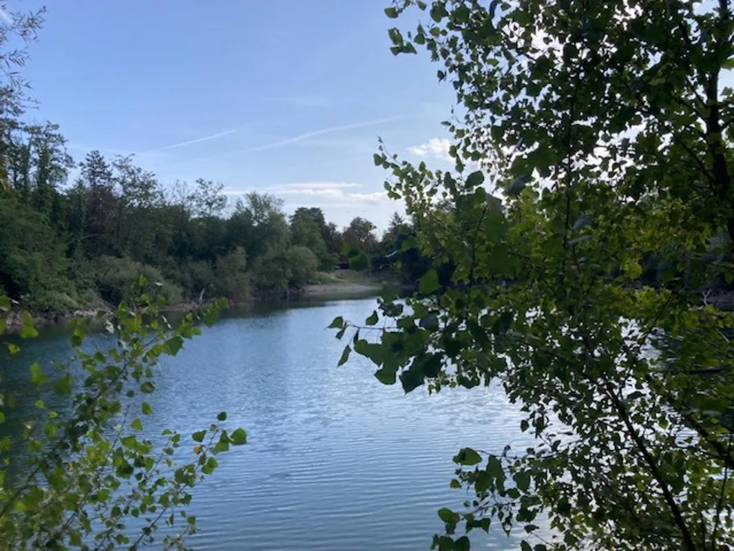 Domaine Forestier et chasse privée à vendre