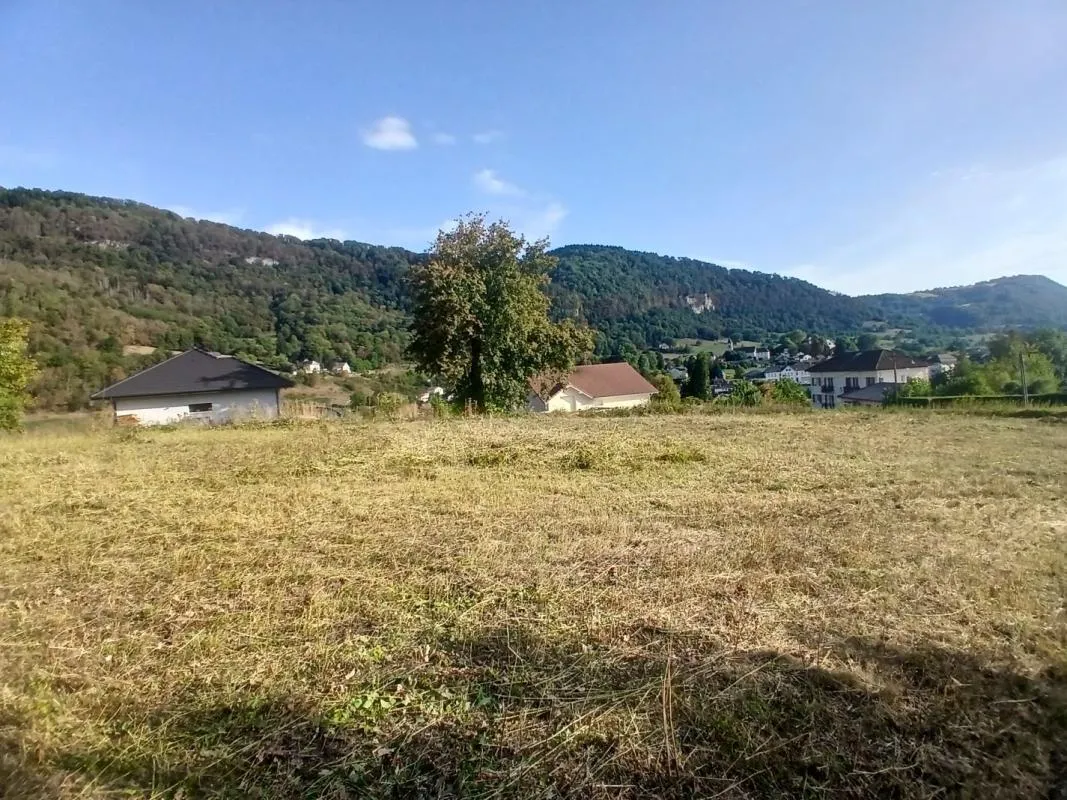 Image du carrousel 1