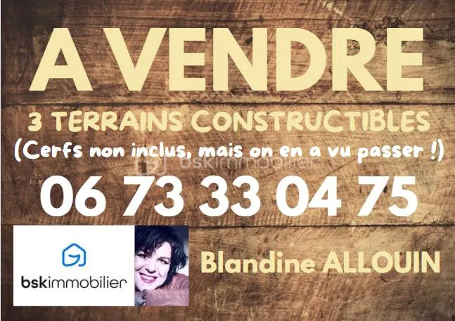 Terrain constructible coeur de Sologne