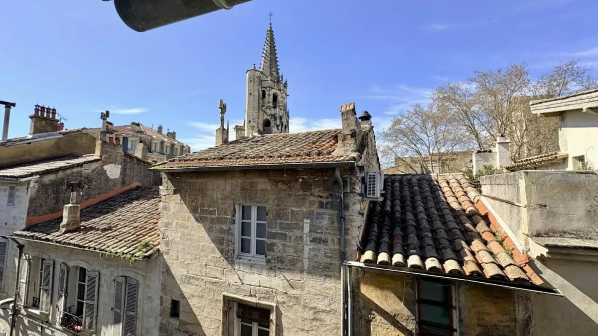 Coup de coeur pour ce Charmant T2 de 52 m² sous les toits –