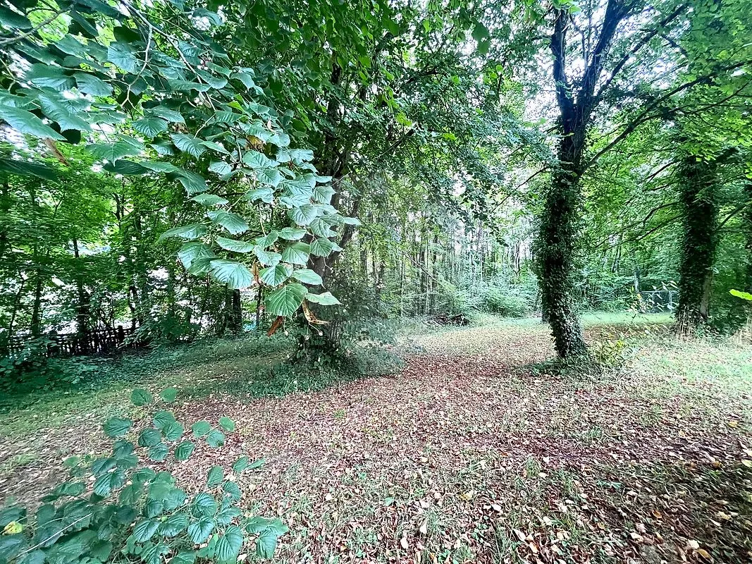 Terrain à vendre