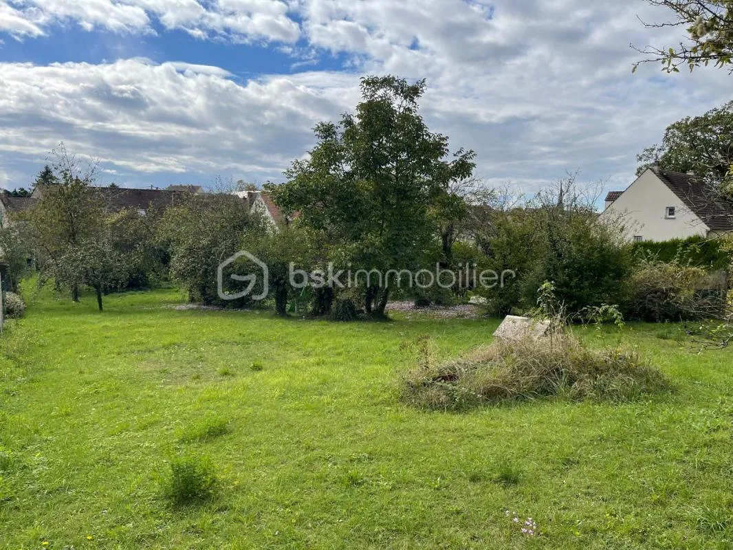 Terrain constructible