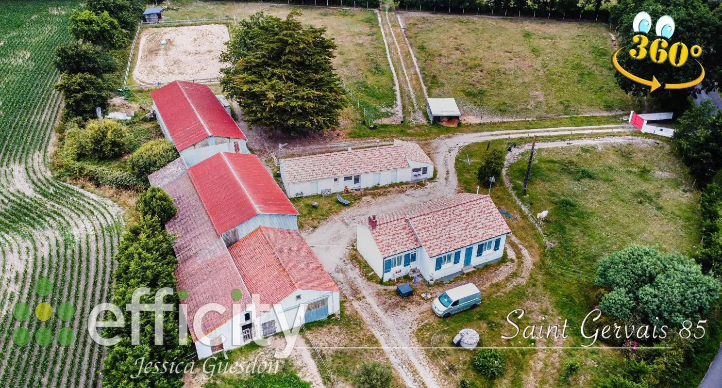 Image du carrousel 1