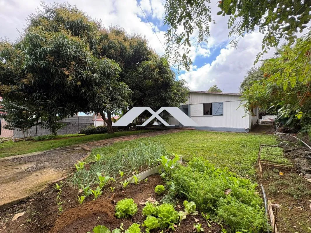 MAISON + GARAGE INDÉPENDANT - 620 m² Tampon
