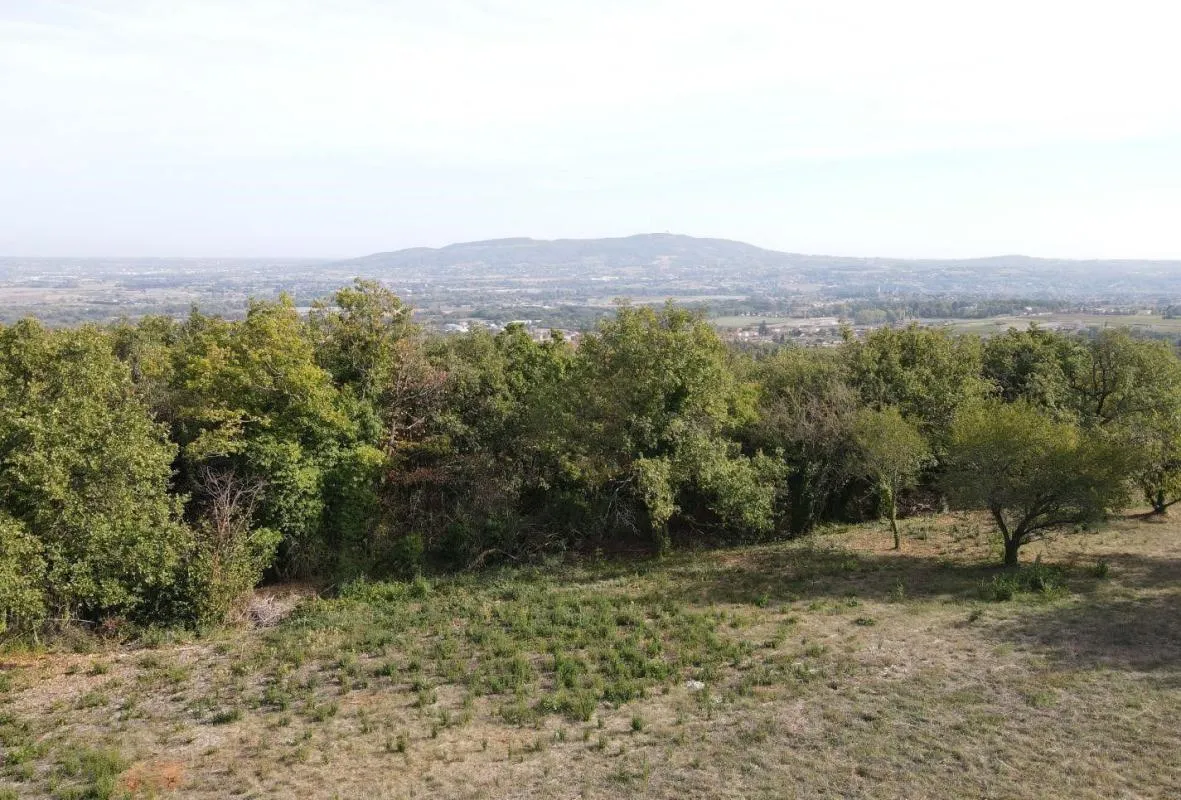 Image du carrousel 1