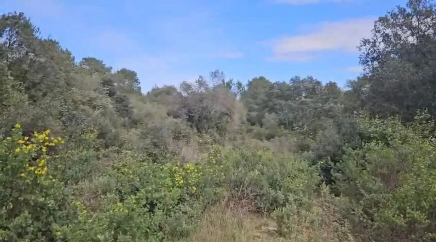Terrain