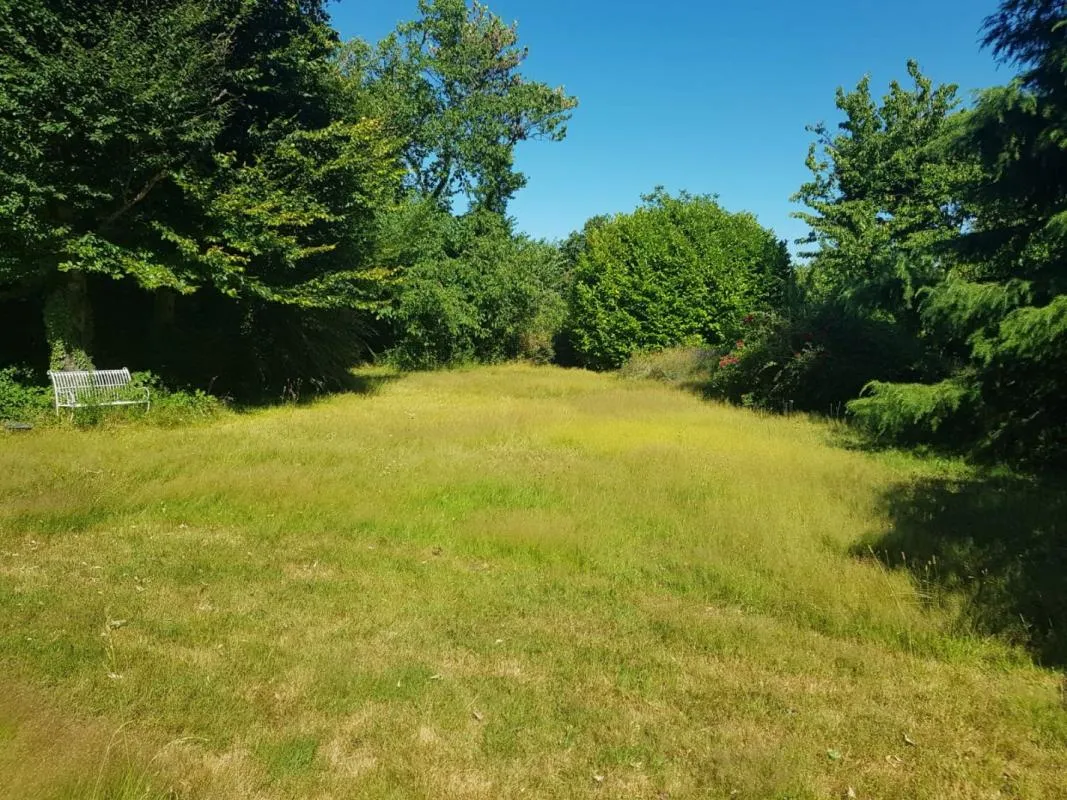 Terrain