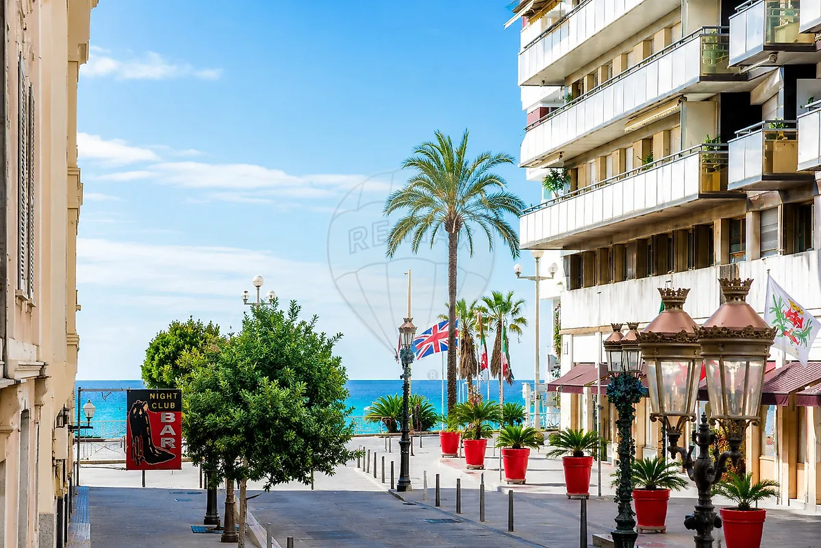 Image du carrousel 1