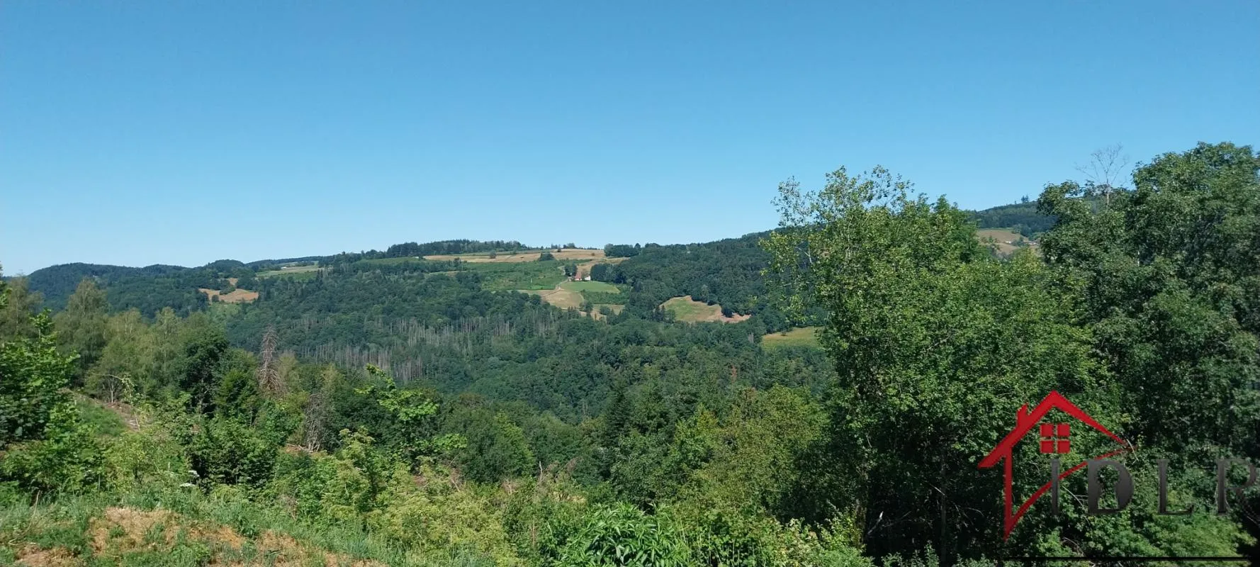 Image du carrousel 1