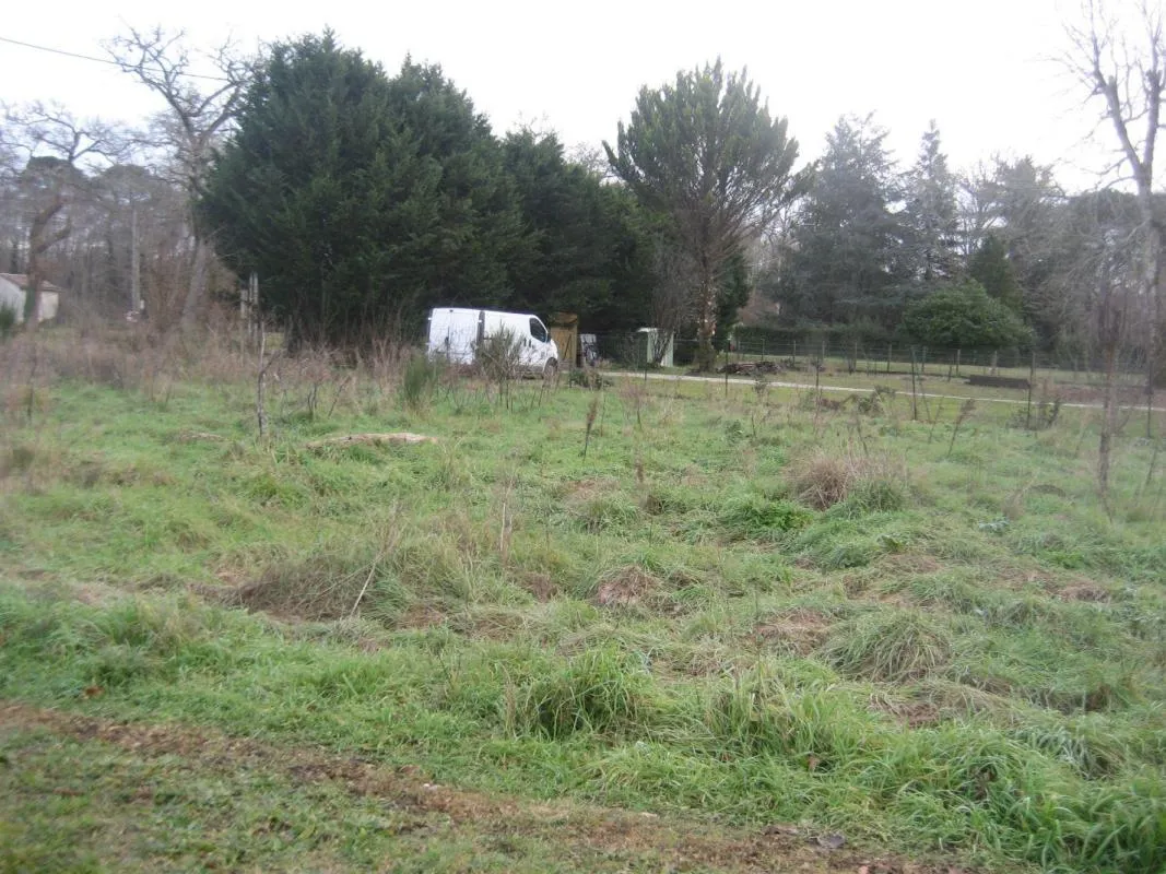 Image du carrousel 1