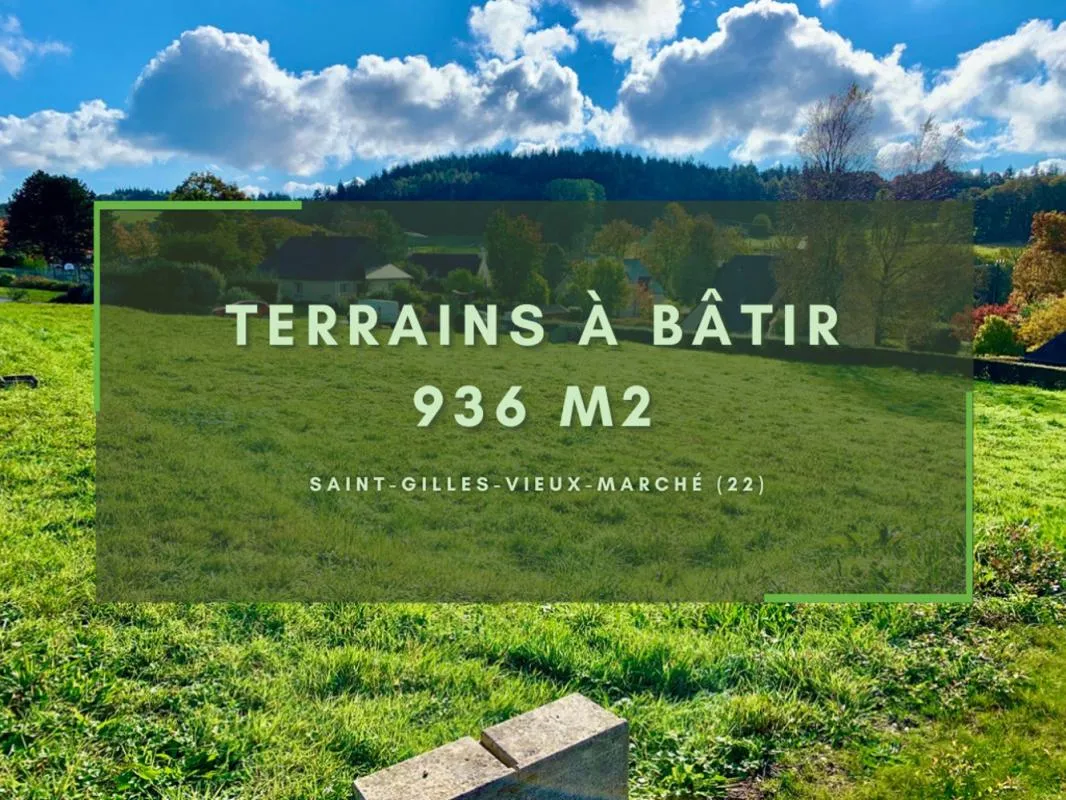 Terrain