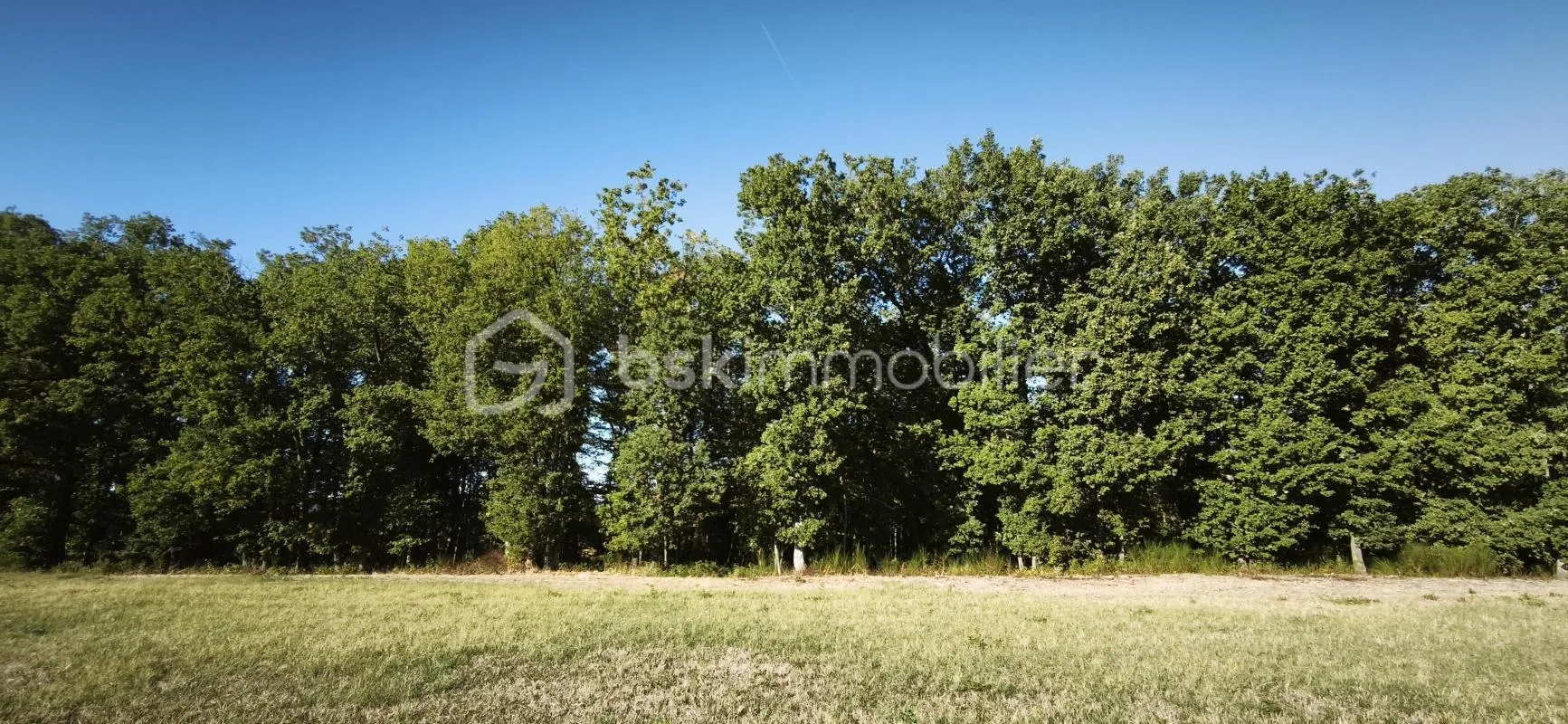 Image du carrousel 1