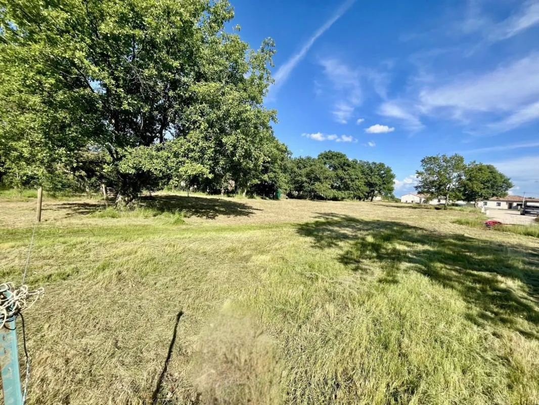 🌳 1 643 m² Viabilisé & Libre de Constructeur