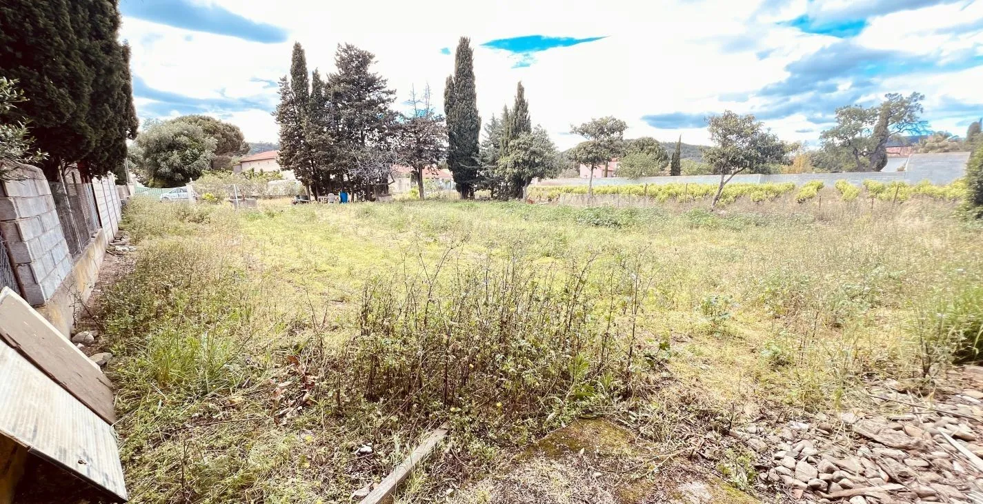 Terrain