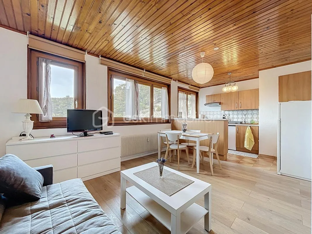 Studio entièrement refait à neuf à Gréolières-les-Neiges (06620)
