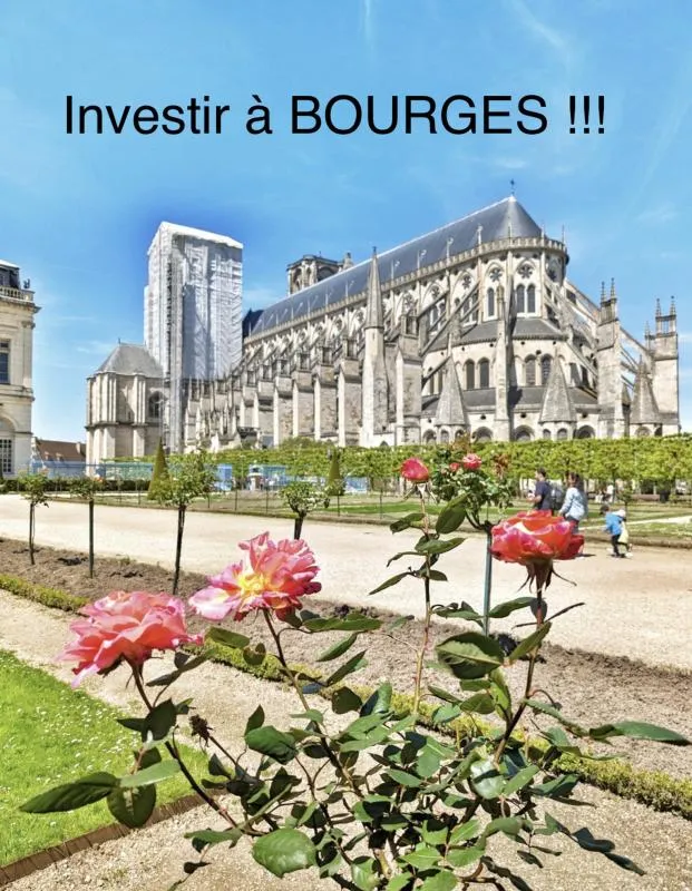 Image du carrousel 1