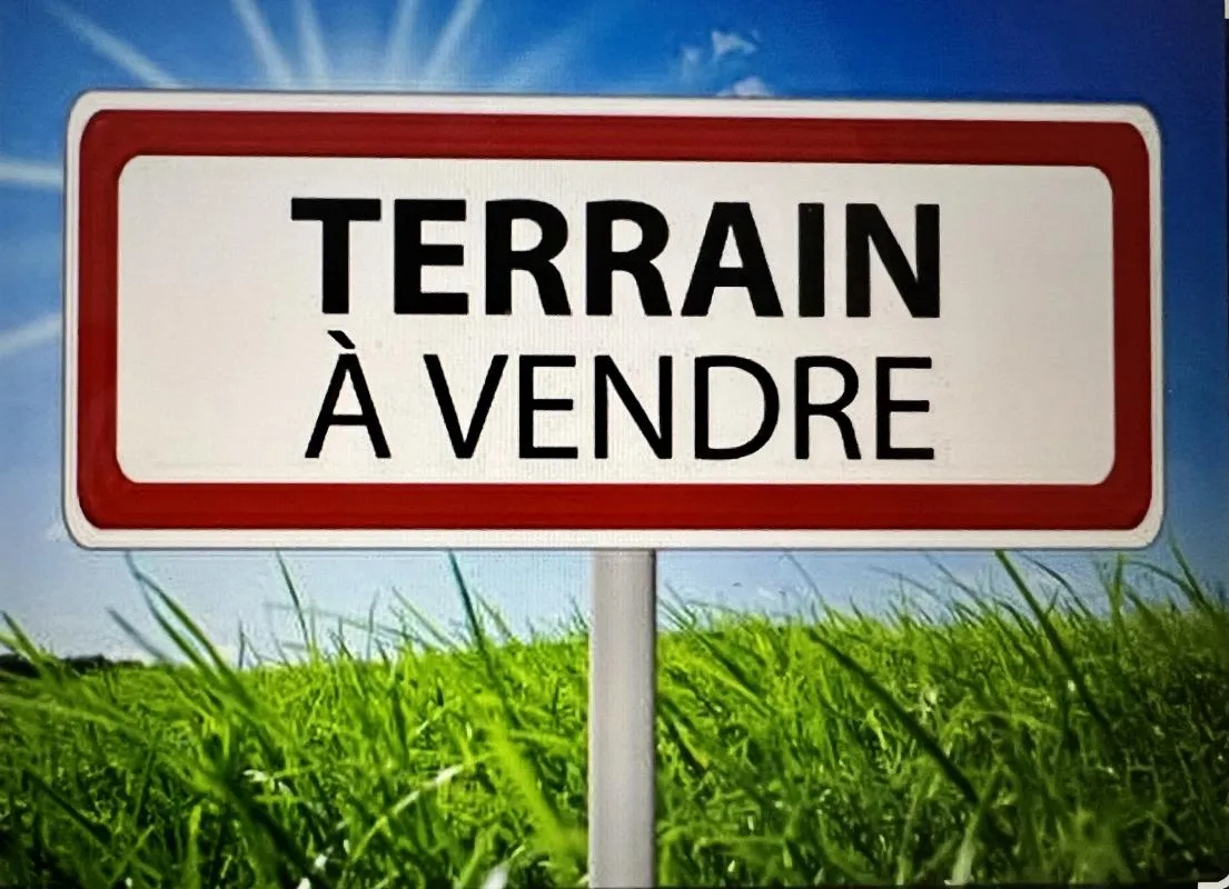 Terrain