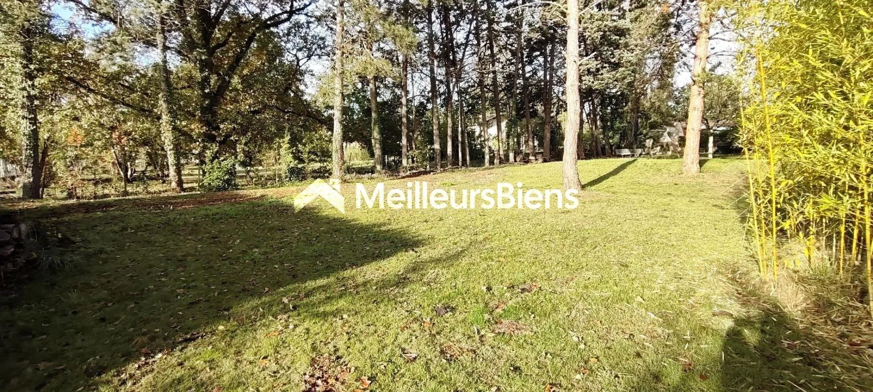 Image du carrousel 1