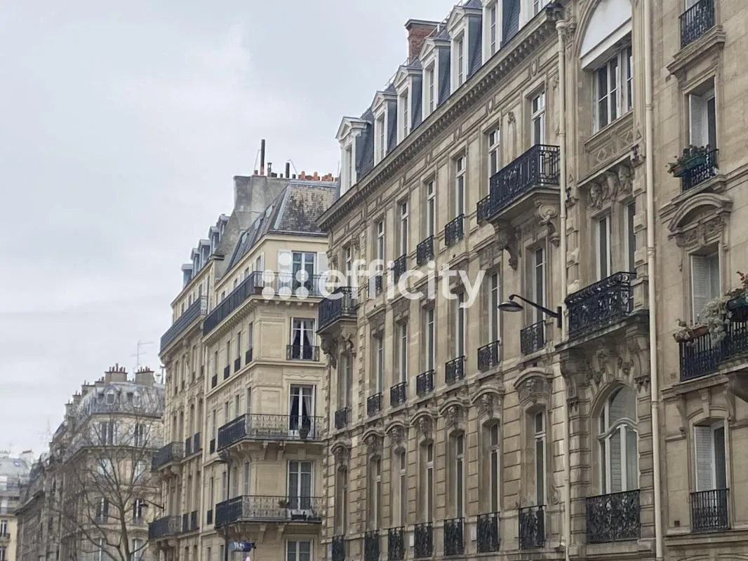Image du carrousel 1